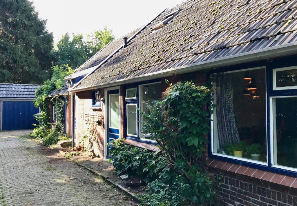 Johanna'S Oostwold  Kültér fotó