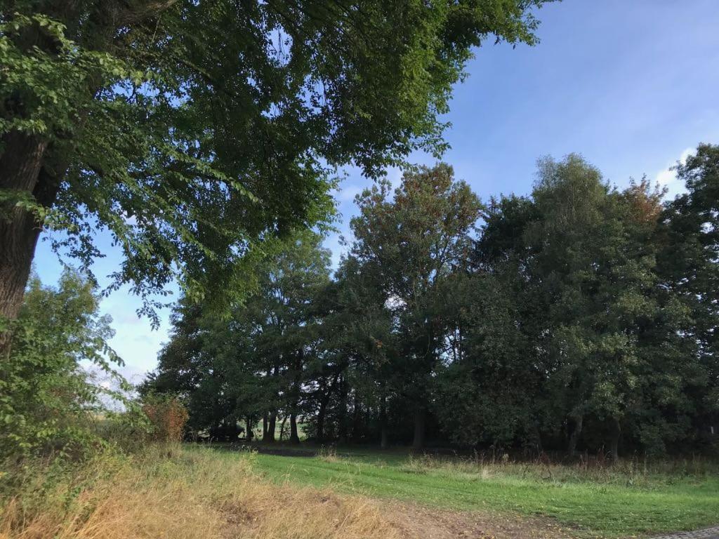 Johanna'S Oostwold  Kültér fotó